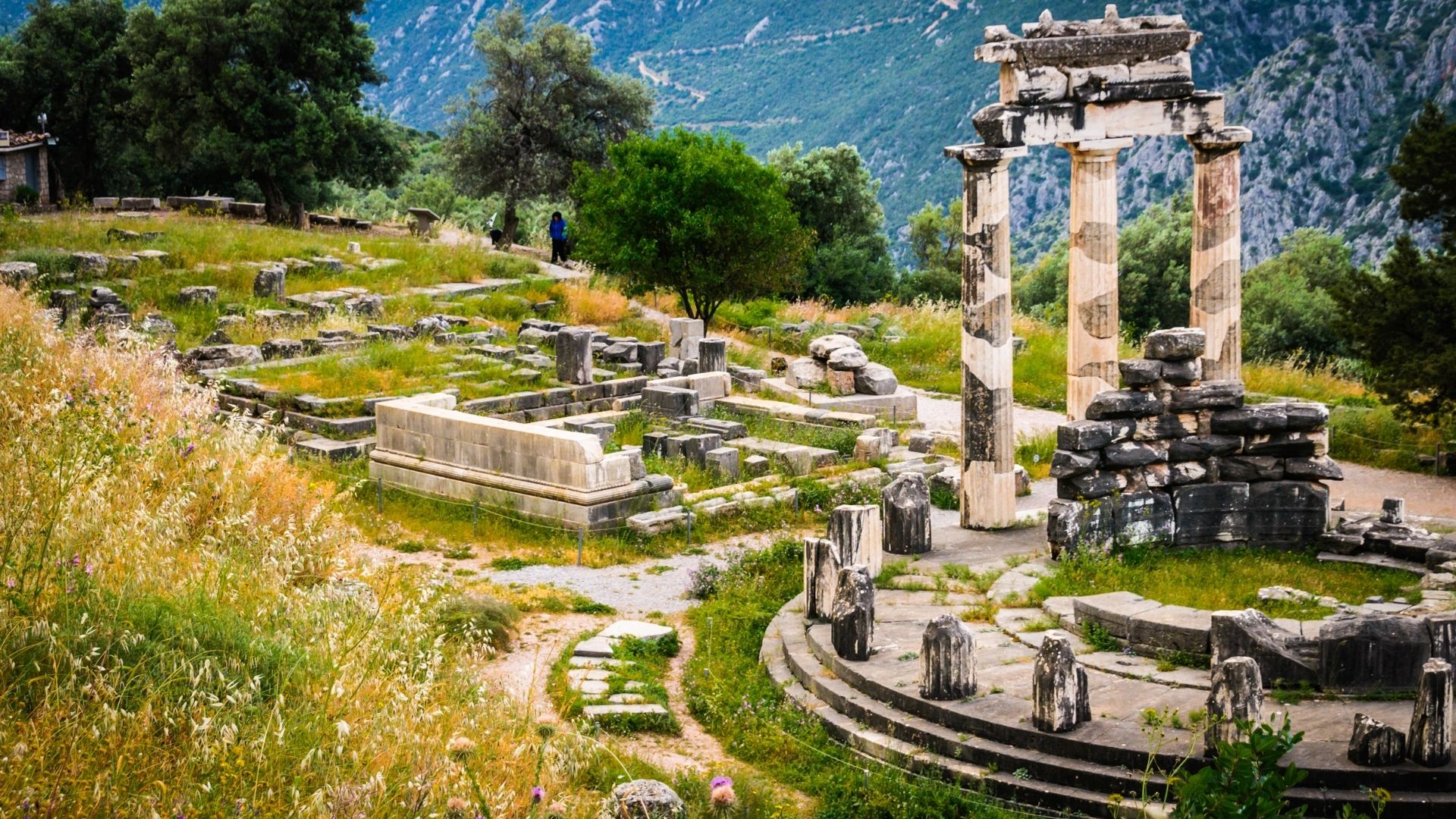 Aula Viva Grecia 2027 (3)